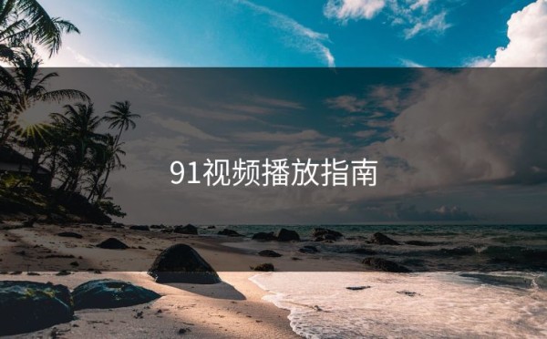 91视频播放指南